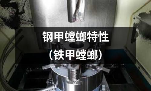 鋼甲螳螂特性（鐵甲螳螂）