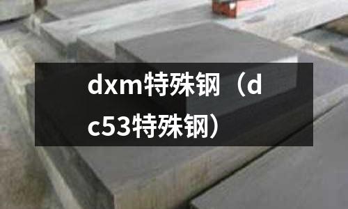 dxm特殊鋼（dc53特殊鋼）