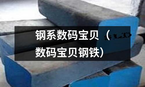 鋼系數(shù)碼寶貝（數(shù)碼寶貝鋼鐵）
