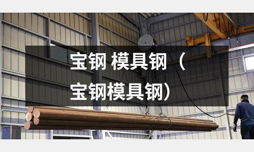 寶鋼 模具鋼（寶鋼模具鋼）