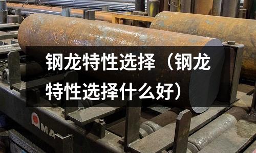 鋼龍?zhí)匦赃x擇（鋼龍?zhí)匦赃x擇什么好）
