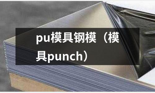 pu模具鋼模（模具punch）