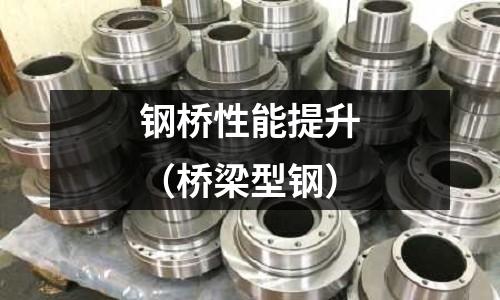 鋼橋性能提升（橋梁型鋼）