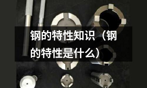 鋼的特性知識（鋼的特性是什么）