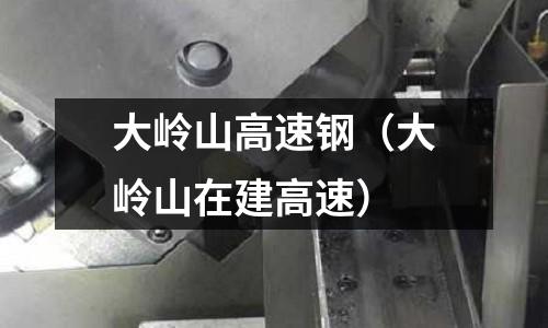 大嶺山高速鋼（大嶺山在建高速）