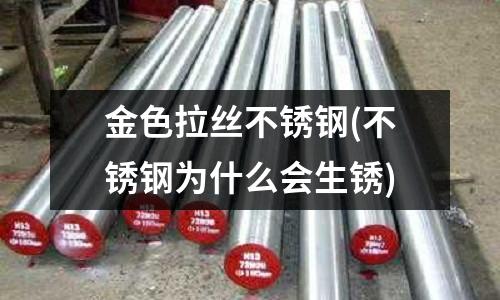 金色拉絲不銹鋼(不銹鋼為什么會生銹)