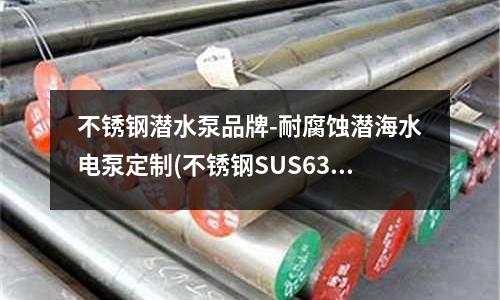 不銹鋼潛水泵品牌-耐腐蝕潛海水電泵定制(不銹鋼SUS631彈簧)