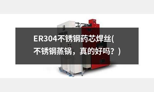 ER304不銹鋼藥芯焊絲(不銹鋼蒸鍋,真的好嗎?)