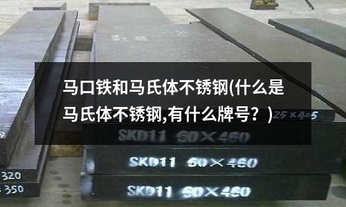 馬口鐵和馬氏體不銹鋼(什么是馬氏體不銹鋼,有什么牌號?)