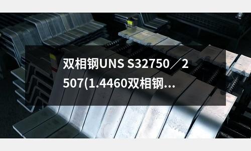 雙相鋼UNS S32750／2507(1.4460雙相鋼板材 不銹鋼法蘭)