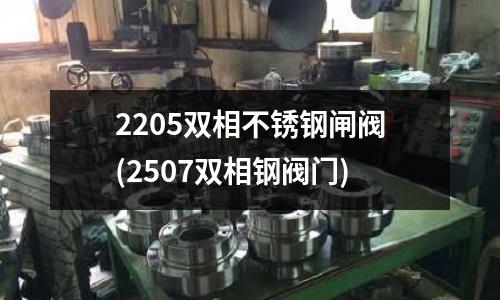 2205雙相不銹鋼閘閥(2507雙相鋼閥門)