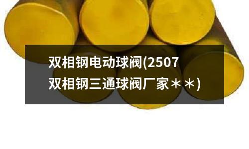 雙相鋼電動球閥(2507雙相鋼三通球閥廠家**)