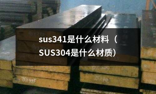 sus341是什么材料（SUS304是什么材質）