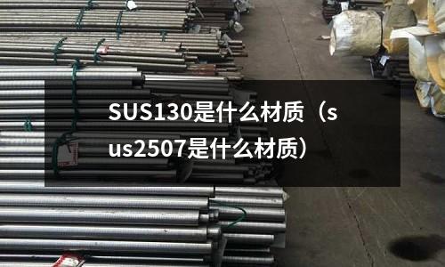 SUS130是什么材質（sus2507是什么材質）