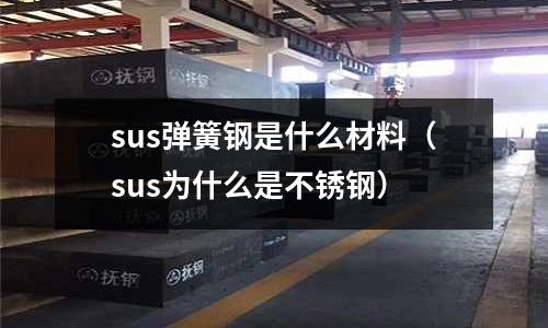 sus彈簧鋼是什么材料（sus為什么是不銹鋼）