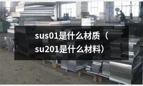 sus01是什么材質（su201是什么材料）