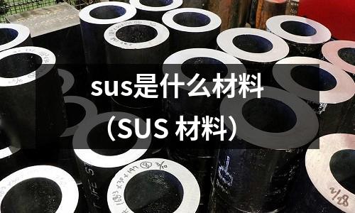 sus是什么材料(SUS 材料)