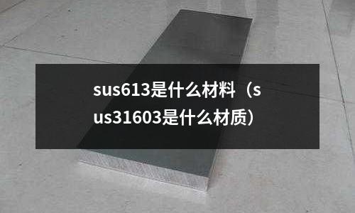 sus613是什么材料（sus31603是什么材質）