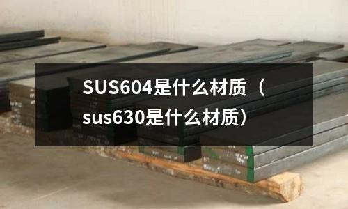 SUS604是什么材質（sus630是什么材質）