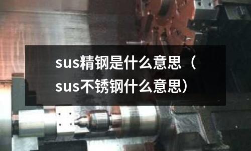 sus精鋼是什么意思（sus不銹鋼什么意思）