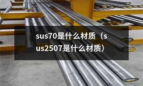 sus70是什么材質（sus2507是什么材質）