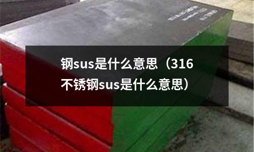 鋼sus是什么意思(316不銹鋼sus是什么意思)