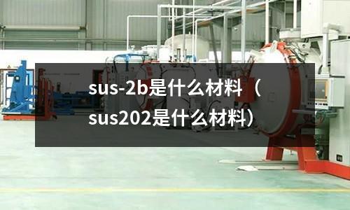sus-2b是什么材料（sus202是什么材料）