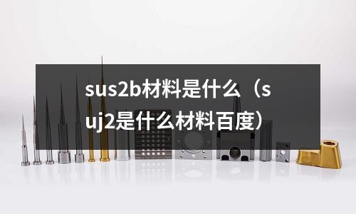 sus2b材料是什么（suj2是什么材料百度）