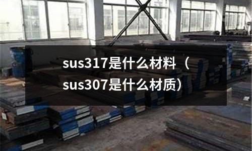 sus317是什么材料（sus307是什么材質(zhì)）