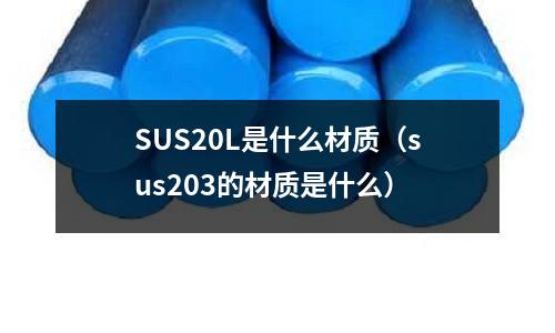 SUS20L是什么材質(zhì)(sus203的材質(zhì)是什么)