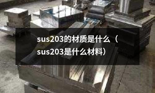 sus203的材質是什么（sus203是什么材料）