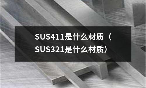 SUS411是什么材質（SUS321是什么材質）