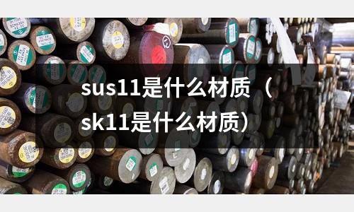 sus11是什么材質(zhì)（sk11是什么材質(zhì)）
