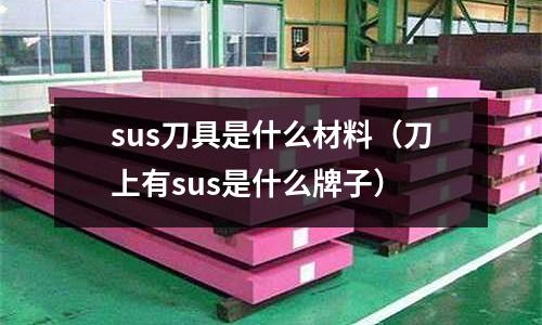 sus刀具是什么材料（刀上有sus是什么牌子）