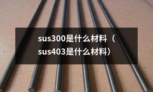 sus300是什么材料（sus403是什么材料）