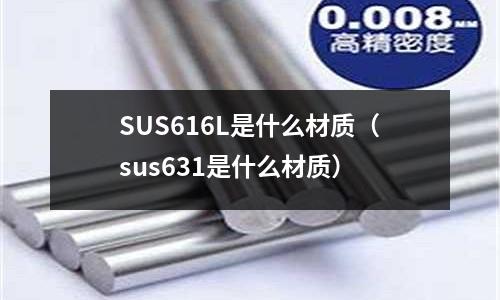 SUS616L是什么材質（sus631是什么材質）