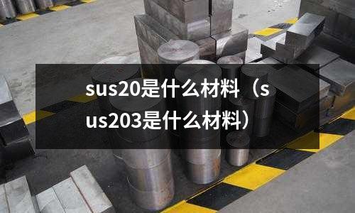 sus20是什么材料（sus203是什么材料）