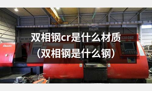 雙相鋼cr是什么材質(雙相鋼是什么鋼)