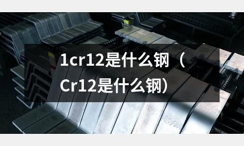 1cr12是什么鋼（Cr12是什么鋼）