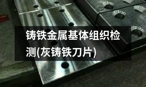 鑄鐵金屬基體組織檢測(灰鑄鐵刀片)