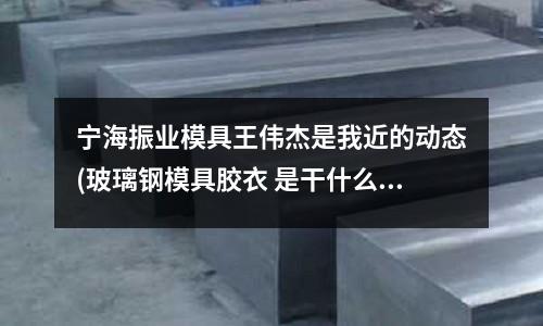 寧海振業模具王偉杰是我近的動態(玻璃鋼模具膠衣 是干什么的，是產品表面的膠衣還是什么？)