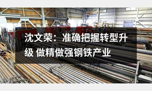 沈文榮：準確把握轉型升級 做精做強鋼鐵產業