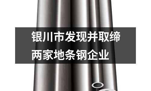 銀川市發現并取締兩家地條鋼企業