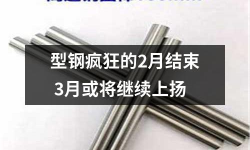 型鋼瘋狂的2月結束 3月或將繼續上揚