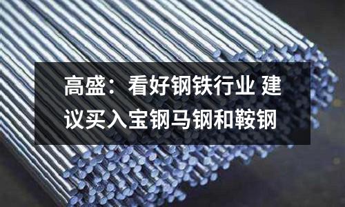 高盛：看好鋼鐵行業 建議買入寶鋼馬鋼和鞍鋼