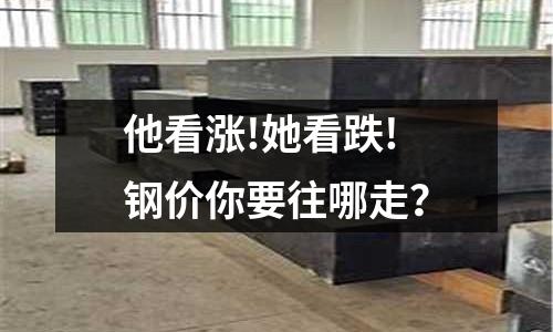 他看漲!她看跌!鋼價你要往哪走？