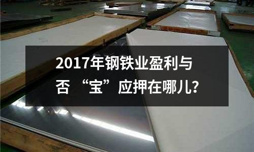 2017年鋼鐵業盈利與否 “寶”應押在哪兒？