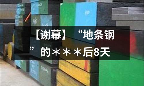 【謝幕】“地條鋼”的＊＊＊后8天