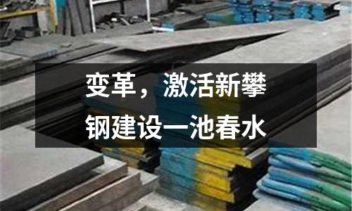 變革，激活新攀鋼建設一池春水