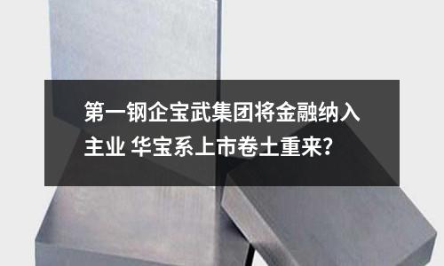 第一鋼企寶武集團將金融納入主業 華寶系上市卷土重來？